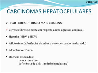 CARCINOMAS HEPATOCELULARES FARTORES DE RISCO MAIS COMUNS: Cirrose (fibrose e morte em resposta a uma agressão contínua) Hepatite (HBV e HCV) Aflotoxinas (substâncias de grãos e nozes, estocado inadequado) Alcoolismo crônico Doenças associados : hemocromatose deficiência de alfa 1 antitripsina(elastase) CIRROSE 