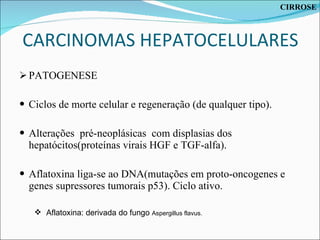 CARCINOMAS HEPATOCELULARES PATOGENESE Ciclos de morte celular e regeneração (de qualquer tipo). Alterações  pré-neoplásicas  com displasias dos hepatócitos(proteínas virais HGF e TGF-alfa). Aflatoxina liga-se ao DNA(mutações em proto-oncogenes e genes supressores tumorais p53). Ciclo ativo. Aflatoxina: derivada do fungo  Aspergillus flavus. CIRROSE 