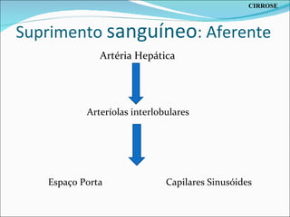 Suprimento  sanguíneo : Aferente Artéria Hepática Arteríolas interlobulares Espaço Porta  Capilares Sinusóides CIRROSE 