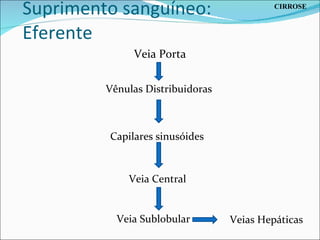 Suprimento sanguíneo: Eferente Veia Porta Vênulas Distribuidoras Capilares sinusóides Veia Central Veia Sublobular Veias Hepáticas CIRROSE 