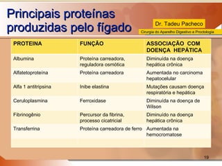 Principais proteínas produzidas pelo fígado PROTEINA FUNÇÃO ASSOCIAÇÃO  COM DOENÇA  HEPÁTICA Albumina Proteína carreadora, reguladora osmótica Diminuída na doença hepática crônica Alfatetoproteína Proteína carreadora Aumentada no carcinoma hepatocelular Alfa 1 antitripsina Inibe elastina Mutações causam doença respiratória e hepática Ceruloplasmina Ferroxidase Diminuída na doença de Wilson Fibrinogênio Percursor da fibrina, processo cicatricial Diminuído na doença hepática crônica Transferrina Proteína carreadora de ferro Aumentada na hemocromatose 