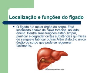 Localização e funções do fígado O fígado é o maior órgão do corpo. Está localizado abaixo da caixa torácica, ao lado direito. Dentre suas funções estão: limpar, purificar e degradar certas substâncias químicas do sangue e fabricar outras.Além disto,é o único órgão do corpo que pode se regenerar facilmente. 