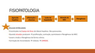 FISIOPATOLOGIA
CÉLULAS ESTRELADAS:
•Encontradas no Espaço de Disse do lóbulo hepático. São quiescentes.
•Quando ativadas produzem  proliferação, contração, quimiotaxia e fibrogênese da MEC.
•Levam a lesão e fibrogênese de forma crônica.
•Formação de micronódulos  nódulos  CIRROSE.
Agressão
hepática
Inflamação +
citocinas
Lesão do
hepatócito
Ativação da
MEC
Fibrogênese
 