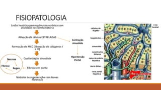 FISIOPATOLOGIA
Lesão hepática parenquimatosa crônica com
atividade necroinflamatória
Ativação de células ESTRELADAS
Formação de MEC (liberação de colágenos I
e III)
Capilarização sinusóide
Fibrose em ponte
Nódulos de regeneração com traves
fibróticas
Contração
sinusóide
Hipertensão
Portal
Fibrose
Necrose
Regen.
 