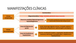 MANIFESTAÇÕES CLÍNICAS
Cirrose
compensada
Cirrose
descompensada
Sinais do complexo hiperestrogenismo-
hipoandrogenismo
Sinais de hipertensão
portal
Sinais de insuficiência
hepatocelular
Ascite, hemorragia digestiva varicosa, circulação colateral, S.
hipertensão portopulmonar, esplenomegalia, pancitopenia.
Icterícia, encefalopatia hepática, coagulopatia, hipoalbuminemia
(anasarca), desnutrição, imunodepressão, S. hepatorrenal e
hepatopulmonar.
Assintomático
Oligossintomático: fadiga, anorexia, perda de massa muscular.
Eritema palmar, telangiectasias, ginecomastia, atrofia testicular,
perda de libido, disfunção erétil, rarefação de pelos.
 