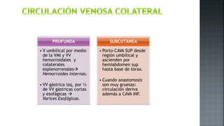 PROFUNDA
• V umbilical por medio
de la VMI y VV
hemorroidales y
colaterales
esplenorrenales
Hemorroides Internas.
• VV gástrica izq, por ½
de VV gástricas cortas
y esofágicas 
Varices Esofágicas.
SUBCUTÁNEA
• Porto-CAVA SUP desde
región umbilical y
ascienden por
hemiabdomen sup
hasta base de tórax.
• Cuando anastomosis
son muy gruesas:
circulación deriva
además a CAVA INF.
 