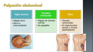 Signo precoz
• Hígado duro
• Micro o
macronodular
Estadios
avanzados
• Hígado de tamaño
normal
• No palpable
Bazo
• Tamaño
aumentado
• En hipertensión
portal y cirrosis
posthepatitis
 