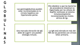 Las gammaglobulinas pueden
estar incrementadas en la
cirrosis hepática con
hipertensión portal.
Ello obedece a que las bacterias
de procedencia intestinal no
fagocitadas por las células de
Kupffer estimulan al sistema
inmunocompetente
incrementando los niveles
séricos de Igs.
Una marcada elevación de IgG
debe de sugerir una posible
etiología inmune.
La IgM está elevada en más del
90% de los pacientes con cirrosis
biliar primaria.
G
L
O
B
U
L
I
N
A
S
 