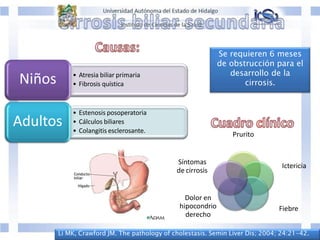 • Atresia biliar primaria
• Fibrosis quística
Niños
• Estenosis posoperatoria
• Cálculos biliares
• Colangitis esclerosante.
Adultos
Se requieren 6 meses
de obstrucción para el
desarrollo de la
cirrosis.
Prurito
Ictericia
Fiebre
Dolor en
hipocondrio
derecho
Síntomas
de cirrosis
Li MK, Crawford JM. The pathology of cholestasis. Semin Liver Dis; 2004; 24:21-42.
 