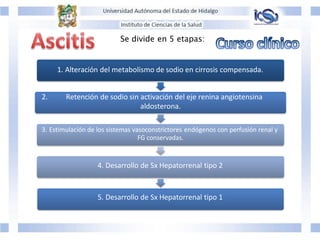 Se divide en 5 etapas:
1. Alteración del metabolismo de sodio en cirrosis compensada.
2. Retención de sodio sin activación del eje renina angiotensina
aldosterona.
3. Estimulación de los sistemas vasoconstrictores endógenos con perfusión renal y
FG conservadas.
4. Desarrollo de Sx Hepatorrenal tipo 2
5. Desarrollo de Sx Hepatorrenal tipo 1
 