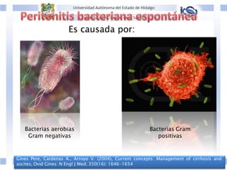 Gines Pere, Cardenas A., Arroyo V. (2004), Current concepts: Management of cirrhosis and
ascites, Ovid Gines: N Engl J Med; 350(16): 1646-1654
Es causada por:
Bacterias aerobias
Gram negativas
Bacterias Gram
positivas
 