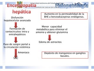 Disfunción
hepatocelular avanzada
Formación de
cortocircuitos intra y
extrahepáticos
Aumento en la permeabilidad de la
BHE a benzodiacepinas endógenas.
Paso de sangre portal a
la circulación sistémica
Amoniaco
SNC
Menor capacidad
metabólica para eliminar el
amonio y obtener glutamina
Edema de astrocitos
Depósito de manganeso en ganglios
basales.
 
