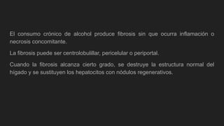 El consumo crónico de alcohol produce fibrosis sin que ocurra inflamación o
necrosis concomitante.
La fibrosis puede ser centrolobulillar, pericelular o periportal.
Cuando la fibrosis alcanza cierto grado, se destruye la estructura normal del
hígado y se sustituyen los hepatocitos con nódulos regenerativos.
 