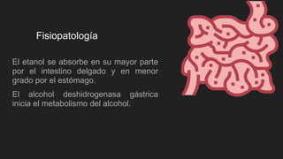 Fisiopatología
El etanol se absorbe en su mayor parte
por el intestino delgado y en menor
grado por el estómago.
El alcohol deshidrogenasa gástrica
inicia el metabolismo del alcohol.
 