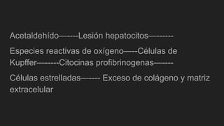 Acetaldehído—----Lesión hepatocitos—------
Especies reactivas de oxígeno—--Células de
Kupffer—-----Citocinas profibrinogenas—----
Células estrelladas—---- Exceso de colágeno y matriz
extracelular
 