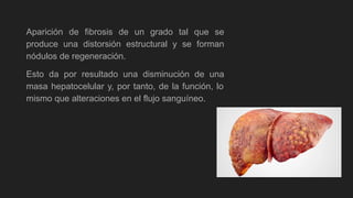 Aparición de fibrosis de un grado tal que se
produce una distorsión estructural y se forman
nódulos de regeneración.
Esto da por resultado una disminución de una
masa hepatocelular y, por tanto, de la función, lo
mismo que alteraciones en el flujo sanguíneo.
 