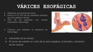 VÁRICES ESOFÁGICAS
● Dilatación anormal de las venas.
● Entre el 5 al 15% de los pacientes cirróticos
por año padecen varices.
● 33% de los pacientes con varices
presentaron hemorragia.
● Factores que anticipan la presencia de
hemorragia:
● Intensidad de la cirrosis
● El punto de presión en cuña de la vena hepática, el tamaño y ubicación
de las varices.
 