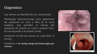Diagnóstico
Las várices se identificarán por endoscopia.
Radiología intervencionista para determinar
las presiones en cuña y libre de la vena
hepática, que permiten el cálculo del
gradiente de presión en cuña a presión libre,
el cual equivale a la presión portal.
Gradiente normal de presion en cuña libre: 5
mmHg
Gradiente > 12 mmHg riesgo de hemorragia por
varices.
 