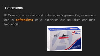 Tratamiento
El Tx es con una cefalosporina de segunda generación, de manera
que la cefatoxima es el antibiótico que se utiliza con más
frecuencia.
 