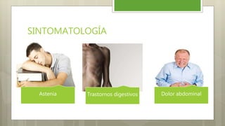 SINTOMATOLOGÍA
Astenia Trastornos digestivos Dolor abdominal
 