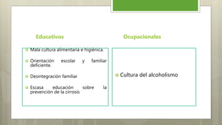  Cultura del alcoholismo
Ocupacionales
 Mala cultura alimentaria e higiénica.
 Orientación escolar y familiar
deficiente.
 Desintegración familiar
 Escasa educación sobre la
prevención de la cirrosis
Educativos
 