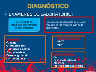 Los estudios de
laboratorio son normales
en fase incipiente
Necrosis hepática:
•GOT
•GPT
Colestasis:
•Alanina
•Bilirrubina total
•Fosfatasa alcalina
•5-nucleotidasa
•Gamma glutamil-
trasnpeptidasa
•El recuento de plaquetas suele estar
recocido en las primeras fase de la
enfermedad
DIAGNÓSTICO
• EXÁMENES DE LABORATORIO:
Función hepática :
•Ppt
•Seudocolinesterasa
•Albumina
•Hipergammaglobulinemia
 