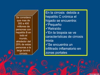Se considera
que mas de
300 a 400
millones de
personas con
hepatitis B en
todo el
mundo,
alrededor del
25% de estas
personas a la
larga tendrá
cirrosis
En la cirrosis debida a
hepatitis C crónica el
hígado se encuentra:
Pequeño
Retraído
En la biopsia se ve
características de cirrosis
mixta
Se encuentra un
infiltrado inflamatorio en
zonas portales
 