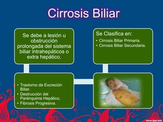 Cirrosis Biliar
Se debe a lesión u
obstrucción
prolongada del sistema
biliar intrahepáticos o
extra hepático.
• Trastorno de Excreción
Biliar.
• Destrucción del
Parénquima Hepático.
• Fibrosis Progresiva.
Se Clasifica en:
• Cirrosis Biliar Primaria.
• Cirrosis Biliar Secundaria.
 