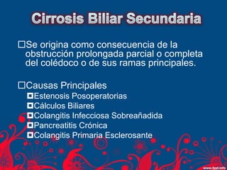 Se origina como consecuencia de la
obstrucción prolongada parcial o completa
del colédoco o de sus ramas principales.
Causas Principales
Estenosis Posoperatorias
Cálculos Biliares
Colangitis Infecciosa Sobreañadida
Pancreatitis Crónica
Colangitis Primaria Esclerosante
 