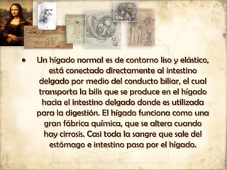 • Un hígado normal es de contorno liso y elástico,
está conectado directamente al intestino
delgado por medio del conducto biliar, el cual
transporta la bilis que se produce en el hígado
hacia el intestino delgado donde es utilizada
para la digestión. El hígado funciona como una
gran fábrica química, que se altera cuando
hay cirrosis. Casi toda la sangre que sale del
estómago e intestino pasa por el hígado.
 