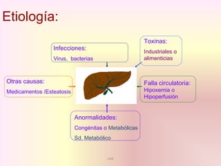 mbf
Infecciones:
Virus, bacterias
Anormalidades:
Congénitas o Metabólicas
Sd. Metabólico
Falla circulatoria:
Hipoxemia o
Hipoperfusión
Toxinas:
Industriales o
alimenticias
Otras causas:
Medicamentos /Esteatosis
Etiología:
 