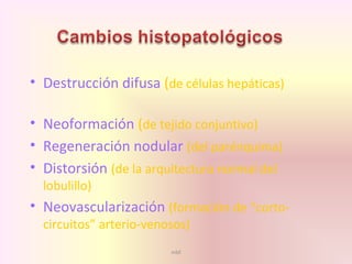 mbf
• Destrucción difusa (de células hepáticas)
• Neoformación (de tejido conjuntivo)
• Regeneración nodular (del parénquima)
• Distorsión (de la arquitectura normal del
lobulillo)
• Neovascularización (formación de “corto-
circuitos” arterio-venosos)
 