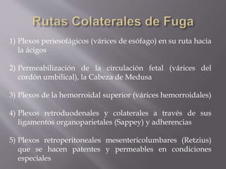 1) Plexos periesofágicos (várices de esófago) en su ruta hacia
la ácigos
2) Permeabilización de la circulación fetal (várices del
cordón umbilical), la Cabeza de Medusa
3) Plexos de la hemorroidal superior (várices hemorroidales)
4) Plexos retroduodenales y colaterales a través de sus
ligamentos organoparietales (Sappey) y adherencias
5) Plexos retroperitoneales mesentericolumbares (Retzius)
que se hacen patentes y permeables en condiciones
especiales
 