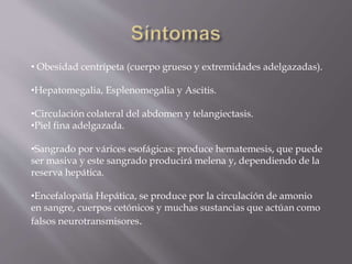 • Obesidad centrípeta (cuerpo grueso y extremidades adelgazadas).
•Hepatomegalia, Esplenomegalia y Ascitis.
•Circulación colateral del abdomen y telangiectasis.
•Piel fina adelgazada.
•Sangrado por várices esofágicas: produce hematemesis, que puede
ser masiva y este sangrado producirá melena y, dependiendo de la
reserva hepática.
•Encefalopatía Hepática, se produce por la circulación de amonio
en sangre, cuerpos cetónicos y muchas sustancias que actúan como
falsos neurotransmisores.
 