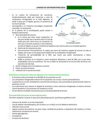 [UNIDAD DE GASTROENTEROLOGIA] Universidad de La Frontera
 Es un cuadro de compromiso de conciencia,
fundamentalmente dado por trastornos a nivel de
compuestos nitrogenados en el tubo digestivo, al
eludir el paso por el hígado, gracias a la presencia de
los shunt portales
 Corresponde a un Trastorno neurológico inicialmente
reversible, sin localización
 En la génesis de la encefalopatía portal existen 4
hipótesis dominantes:
1. Neurotoxicidad del amonio:
 es la teoria que tiene mayor aceptación, no
hay que olvidar que el amonio entra al ciclo de
Krebs para salir como Urea a la circulación. En
este caso el amonio aumenta a nivel intestinal,
se salta el hígado, ya sea por insuficiencia hepática o por shunt y pasa a la circulación general.
 Dentro de los mecanismos esta:
 Comunicaciones Portosistémicas: la sangre que viene del intestino cargada de amonio se salta el
hígado, por lo que no hay depuración hepática de los metabolitos nitrogenados
 Trastornos de permeabilidad de la BHE, que hacen que pasen neurotoxinas o falsos
neurotransmisores.
 GABA se produce en el intestino y tiene receptores depresore a nivel de SNC, por lo que tiene
propiedades como los ansiolíticos. Por eso se debe ser precavido en el uso de estos farmacos con
pacientes de este tipo.
2. Acción sinérgica entre mercaptanos y amonio.
3. Falsos neurotransmisores
4. Inhibición de la neurotransmisión
EVIDENCIAS A FAVOR DEL PAPEL DEL AMONÍACO EN LA ENCEFALOPATÍA HEPÁTICA
 El amoníaco está aumentado en el 80-90% de los pacientes con EH.
 Los compuestos nitrogenados inducen EH en pacientes con cirrosis o shunts portosistémicos.
 La glutamina en el LCR, (metabolismo neuronal del amoníaco), está aumentada en prácticamente todos los
pacientes con EH .
 Los tratamientos que reducen la llegada de amoníaco y otras sustancias nitrogenadas al sistema nervioso
central benefician a los pacientes con tendencia a la EH.
 Se han descrito múltiples mecanismos para la neurotoxicidad del amoníaco.
FACTORES PRECIPITANTES DE DESCOMPENSACIÓN:
Permiten sospechar o buscar la causa de la descompensación, qué factores gatillaron la EH
 Consumo de alcohol: es el más importante
 Uso de sedante: benzodiazepina, por lo tanto a un cirrótico no se le debieran administrar
 Infección intercurrente
 Ingesta excesiva de proteínas: Se pone mayor cantidad de proteínas a disposición del intestino y la flora
intestinal las transforma en amonio.
 Hemorragia digestiva
 Constipación
 El exceso de diuréticos
 