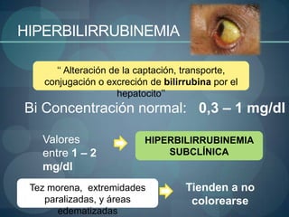 HIPERBILIRRUBINEMIA

      ‘‘ Alteración de la captación, transporte,
    conjugación o excreción de bilirrubina por el
                      hepatocito’’
Bi Concentración normal: 0,3 – 1 mg/dl

   Valores                 HIPERBILIRRUBINEMIA
   entre 1 – 2                 SUBCLÍNICA
   mg/dl
 Tez morena, extremidades           Tienden a no
    paralizadas, y áreas             colorearse
       edematizadas
 