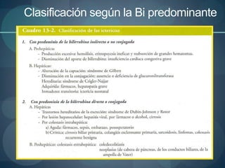 Clasificación según la Bi predominante
 