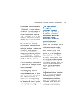 15Manejo integrado de pragas do algodoeiro no cerrado brasileiro
ovos e lagartas. Importantes espécies
de parasitóides pertencem ao gênero
Trichogramma. Em regiões de relativa-
mente baixas infestações da praga, os
agentes de controle natural podem
manter as populações da lagarta-da-
maçã a níveis abaixo do nível de dano
econômico. A preservação de inimigos
naturais é uma interessante estratégia
de convivência com a praga.
Por outro lado, o uso contínuo e
indiscriminado de inseticidas químicos
tem levado ao aparecimento de
populações resistentes a seus princípios
ativos. Neste sentido, quando há
necessidade do controle químico, o uso
de inseticidas biológicos ou fisiológicos
é preferível, desde que a infestação
esteja na fase inicial com predominância
de lagartas de primeiro ao terceiro
ínstar.
Cultivares transgênicas com resistência
a lagartas, uma vez disponíveis, deverão
se tornar mais uma opção de controle
da lagarta-das-maçãs.
Importantes medidas de controle
cultural se referem à semeadura
concentrada e a destruição dos restos
culturais. A semeadura concentrada de
todas as áreas circunvizinhas de
algodão em até 30 dias tende a inibir a
migração de mariposas. A destruição de
dos restos culturais é prática indispen-
sável para a supressão da população da
praga no período de entressafra.
Lagartas do gênero
Spodoptera
Spodoptera frugiperda
(Lepidoptera: Noctuidae)
Spodoptera cosmioides
(Lepidoptera: Noctuidae)
Spodoptera eridania
(Lepidoptera: Noctuidae)
Identificação do inseto
Spodoptera eridania - Essa espécie tem
tido uma maior importância na soja e no
algodão, mas possui como hospedeiras
couve, cenoura, berinjela, pimenta,
batata, bata-doce, tomate, melancia,
ervilha, beterraba, abacate, citrus,
amendoim, girassol. Produz quatro
gerações por ano. O ciclo ovo-adulto é
de aproximadamente 30 a 40 dias.
Os ovos têm formato esférico, medem
0,45 mm de diâmetro e têm coloração
verde inicialmente, escurecendo com a
proximidade da eclosão da lagarta. São
postos em camadas e cobertos com
escamas do corpo da mariposa. O
estágio embrionário dura de quatro a
seis dias.
As lagartas passam por seis ínstares e
chegam a medir 35 mm de comprimen-
to. São verdes ou verde-enegrecidas
com cabeça castanha ou castanho-
avermelhada (Figura 17). Apresentam
uma linha fina longitudinal e faixas
laterais mais largas. Em cada lado
normalmente denota-se uma faixa
amarelada ou esbranquiçada que é
interrompida por um colar preto no
 