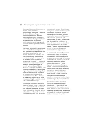 Manejo integrado de pragas do algodoeiro no cerrado brasileiro20
Muitos predadores, também, atacam as
lagartas, como percevejos
pentatomídeos, tesourinhas e besouros
do gênero Calosoma. Fungos
entomopatógenos como Beauveria
bassiana e Metarrizhium anisoplae e a
bactérias Bacillus thuringiensis infectam
as lagartas quando as condições
ambientais e de manejo de pragas são
favoráveis a estes agentes de controle
biológico.
A detecção de migrações de mariposas
para o interior das culturas pode ser
feita através do uso de armadilhas com
feromônios específicos. Por esta
técnica, utiliza-se uma armadilha para
cada cinco hectares, dispondo-se as
mesmas em posição um pouco acima
da altura das plantas. Avaliações
semanais são efetuadas e a captura de
cinco ou mais mariposas por noite por
armadilha indica a necessidade de
controle químico. A cada 15 dias
devem-se substituir os feromônios. Uma
vez detectada a presença de mariposas
migrando para as áreas com algodão, o
uso de iscas atrativas nas bordaduras
da lavoura também pode ser uma
medida interessante. Para a obtenção
da isca atrativa, mistura-se um kg de
melaço com 10 g de inseticida metomil
e dilui-se em 10 litros d'água.
O controle de populações de lagartas
pequenas (até o 3º ínstar) é importante
para a tomada de decisão de controle
com inseticidas reguladores de cresci-
mento (inibidores da síntese de quitina,
ecdisteróides e análogos do hormônio
juvenil) e biológicos (à base de Bacillus
thuringiensis), os quais são seletivos a
inimigos naturais e mais eficientes sobre
os primeiros ínstares das lagartas.
Existem evidências de que as uréias
substituídas (lufenuron, teflubenzuron,
diflubenzuron) apresentam ação
transovariana, ou seja, a contaminação
das fêmeas adultas inviabilizaria os
ovos. Se houver atraso na detecção e
notar-se predominância de lagartas
médias e grandes, produtos de ação de
choque serão necessários para o
controle eficiente da população.
A resistência de plantas a Spodoptera
via transgenia poderá em breve ser
utilizada pelos produtores brasileiros,
uma vez que um evento já foi liberado e
está em fase de registro e produção de
sementes. Este evento também
apresentará resistência a outras
lagartas, como curuquerê e lagarta
rosada. Estas cultivares transgênicas
contêm um ou mais genes de Bacillus
thuringiensis que codificam para
endotoxinas, as quais são tóxicas a
essas lagartas. Quando o custo de
controle químico destas pragas
excederem o custo da nova tecnologia,
essa estratégica deve ser considerada.
Importantes medidas de controle
cultural se referem à semeadura
concentrada e a destruição da dos
restos culturais. A semeadura concen-
trada de todas as áreas circunvizinhas
de algodão em até 30 dias tende a inibir
a migração de mariposas. A destruição
de dos restos culturais é prática
 