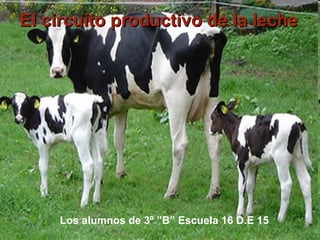 El circuito productivo de la leche
Los alumnos de 3º “B”
El circuito productivo de la lecheEl circuito productivo de la leche
Los alumnos de 3º ”B” Escuela 16 D.E 15
 