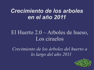 Crecimiento de los arboles
      en el año 2011

El Huerto 2.0 – Arboles de hueso,
          Los ciruelos
Crecimiento de los árboles del huerto a
         lo largo del año 2011
 
