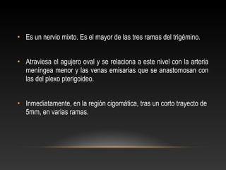 • Es un nervio mixto. Es el mayor de las tres ramas del trigémino.
• Atraviesa el agujero oval y se relaciona a este nivel con la arteria
meníngea menor y las venas emisarias que se anastomosan con
las del plexo pterigoideo.
• Inmediatamente, en la región cigomática, tras un corto trayecto de
5mm, en varias ramas.
 