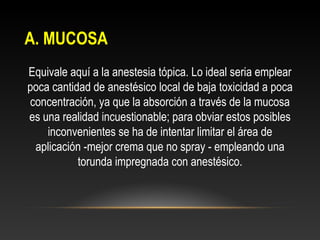 A. MUCOSAA. MUCOSA
Equivale aquí a la anestesia tópica. Lo ideal seria emplear
poca cantidad de anestésico local de baja toxicidad a poca
concentración, ya que la absorción a través de la mucosa
es una realidad incuestionable; para obviar estos posibles
inconvenientes se ha de intentar limitar el área de
aplicación -mejor crema que no spray - empleando una
torunda impregnada con anestésico.
 