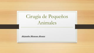 Cirugía de Pequeños
Animales
Alejandro Meneses Alvarez
 