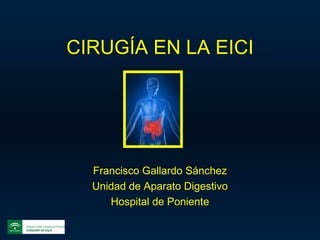 CIRUGÍA EN LA EICI Francisco Gallardo Sánchez Unidad de Aparato Digestivo Hospital de Poniente 