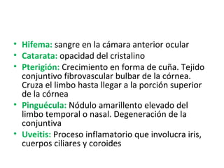 Hifema:  sangre en la cámara anterior ocular Catarata:  opacidad del cristalino Pterigión:  Crecimiento en forma de cuña. Tejido conjuntivo fibrovascular bulbar de la córnea. Cruza el limbo hasta llegar a la porción superior de la córnea Pinguécula:  Nódulo amarillento elevado del limbo temporal o nasal. Degeneración de la conjuntiva Uveitis:  Proceso inflamatorio que involucra iris, cuerpos ciliares y coroides 