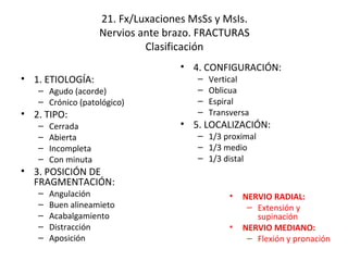 21. Fx/Luxaciones MsSs y MsIs. Nervios ante brazo. FRACTURAS Clasificación 1. ETIOLOGÍA: Agudo (acorde) Crónico (patológico) 2. TIPO: Cerrada Abierta Incompleta Con minuta 3. POSICIÓN DE FRAGMENTACIÓN: Angulación Buen alineamieto Acabalgamiento Distracción Aposición 4. CONFIGURACIÓN: Vertical Oblicua Espiral Transversa 5. LOCALIZACIÓN: 1/3 proximal 1/3 medio 1/3 distal NERVIO RADIAL: Extensión y supinación NERVIO MEDIANO: Flexión y pronación 