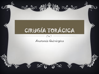 CIRUGÍA TORÁCICA
   Anatomía Quirúrgica
 