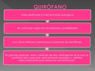 Salas destinadas a intervenciones quirúrgicas

Se construyen según las necesidades y posibilidades

Con clima artificial o extractores e inyectores de aire filtrado

En grandes especies tener corrientes de aire, restringiendo el acceso al
quirófano sólo a personal estrictamente necesario y vestidos
adecuadamente para reducir la contaminación.

 