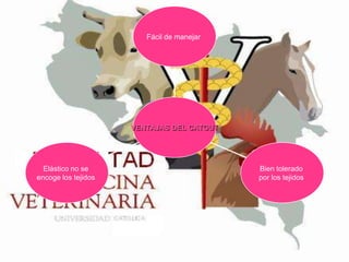 Fácil de manejar

VENTAJAS DEL CATGUT

Elástico no se
encoge los tejidos

Bien tolerado
por los tejidos

 